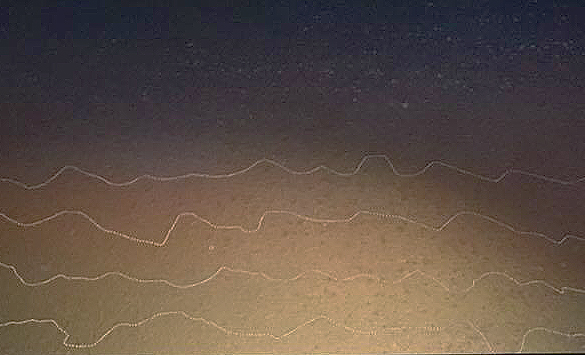 JanetKngwarreye