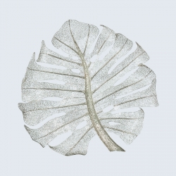 Monstera Leaf