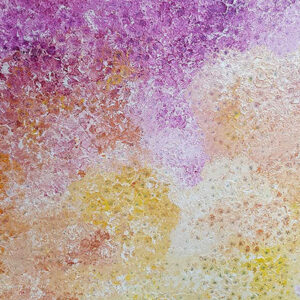Bush Plum Dreaming - Polly Nelson Nungala